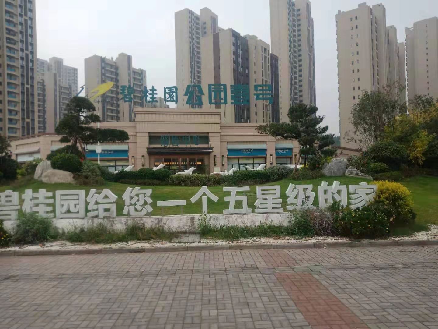 碧桂园地坪漆